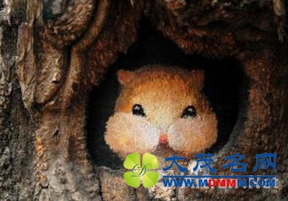 他们不在“艺术圈” 却创作了让圈内疯转的作品