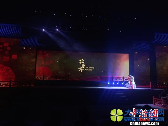 2016浙江遂昌汤显祖文化节开幕式。　奚金燕摄
