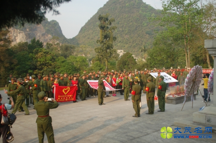 DSC_3115.jpg