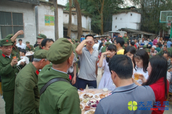 DSC_3329.jpg