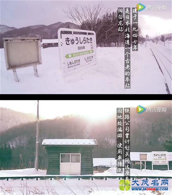 쳧Ƶֱ˵׬׬ѶƵԵ조󼶱֣