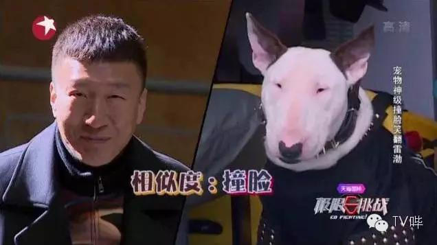 让人又哭又笑！《极限挑战2》红兴CP刷出新“泪点”