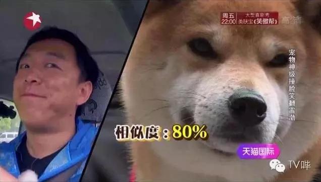 让人又哭又笑！《极限挑战2》红兴CP刷出新“泪点”