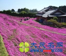 【茶余】女子地铁玩“头悬梁” 动物成“网红”