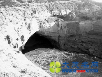 中国女留学生悉尼被杀：死前曾遭“猛烈攻击”