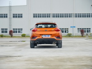  ۺGS 2016 Ű 1.3T Զ
