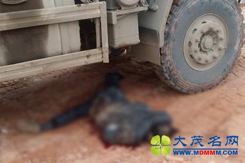 武汉黄陂一村民征地现场遭碾压身亡