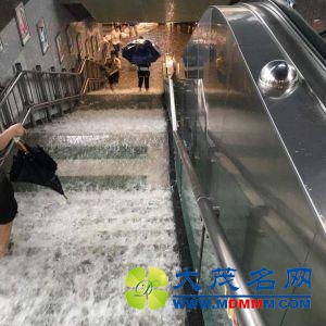广州进入水浸街模式 部分路段水浸已过腰(图)