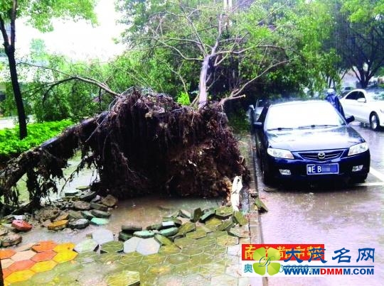 佛山一没防护的山坡崩塌 专家曾称不会大面积滑坡