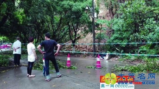 佛山一没防护的山坡崩塌 专家曾称不会大面积滑坡