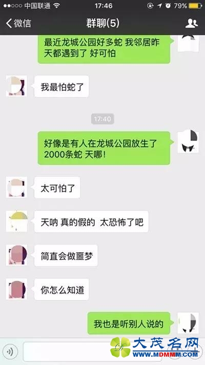 网传深圳有人放生2000条蛇 警方称从未接报