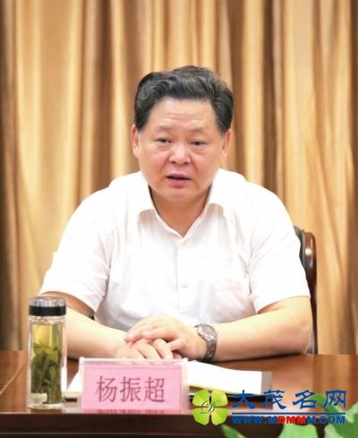 安徽副省长杨振超被查 成该省第3名省级落马官员