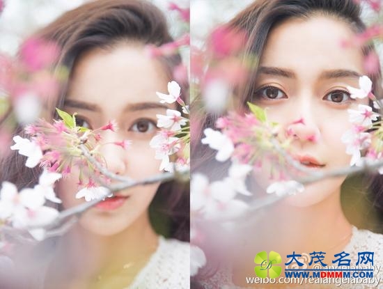 angelababy5