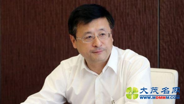 陈寅任上海市副市长 曾主政徐汇杨浦