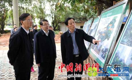 深圳南山全区动员植树 推进城区绿化提升