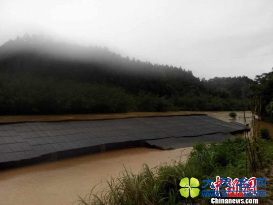 广西北部遭特大暴雨侵袭 最大降雨量达335毫米