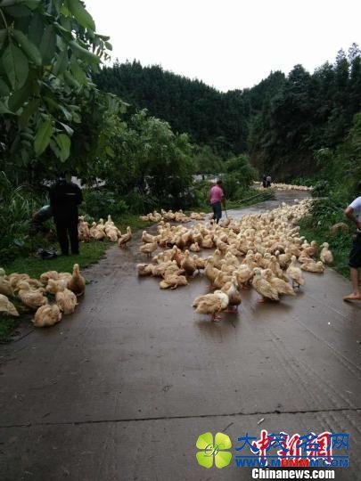 广西北部遭特大暴雨侵袭 最大降雨量达335毫米