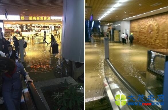 台湾桃园机场遇大雨成国际浴场 旅客领不到行李