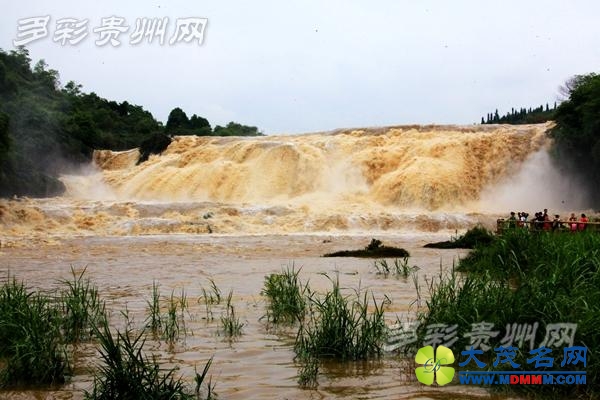 黄果树瀑布群迎今年以来最大水量 多个景点关闭