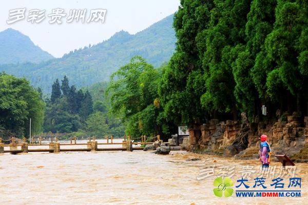 黄果树瀑布群迎今年以来最大水量 多个景点关闭