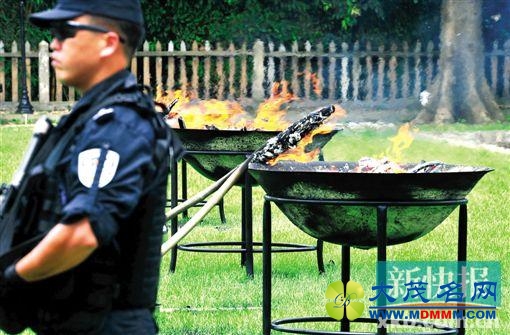 虎门销烟177周年纪念日 省青少年禁毒宣传月启动