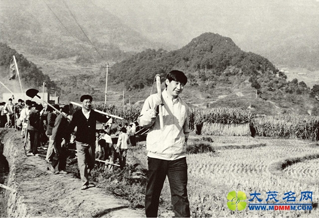 习近平“示范”领导干部如何过个“轻松端午节”
