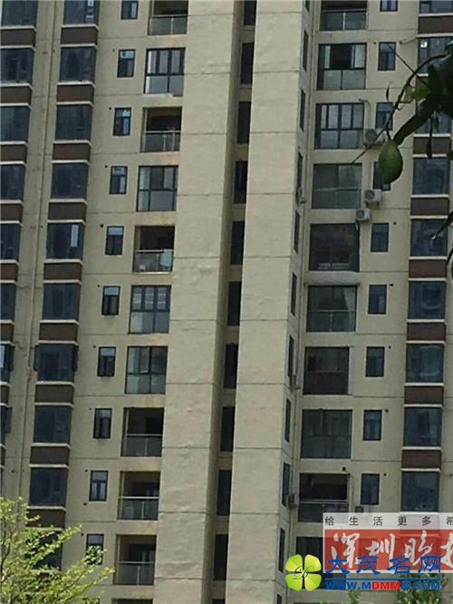 深圳一小区52户漏水 手一碰墙就喷水