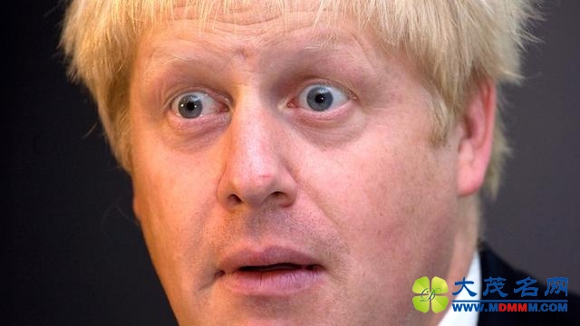 英国农民用赛猪预测脱欧公投结果 你猜脱不脱……