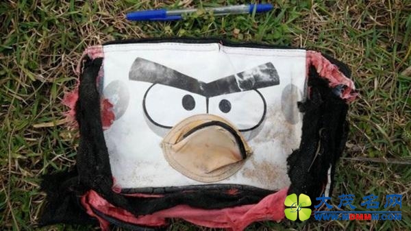 马达加斯加现20件私人物品残片 疑与MH370有关
