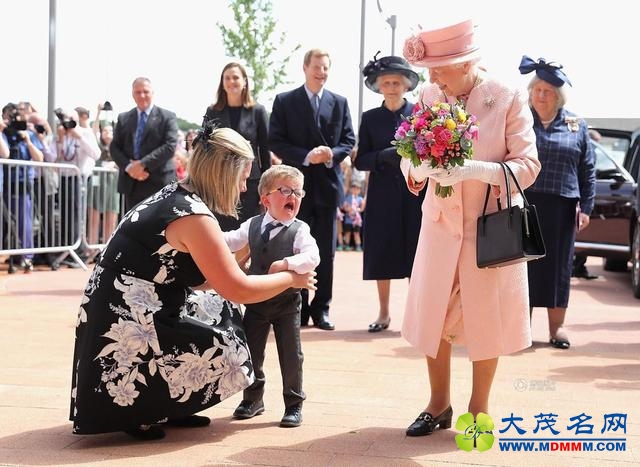 英国两岁男童给女王献花后竟嚎啕大哭