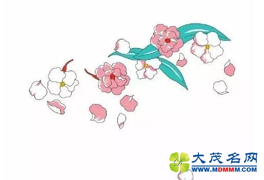 新华社“一带一路全球行”：丝绸之路方巾设计