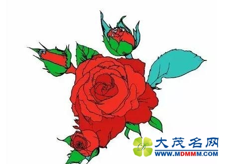 新华社“一带一路全球行”：丝绸之路方巾设计