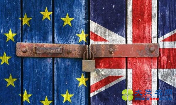 英国民众争相申请爱尔兰护照 表格被抢空