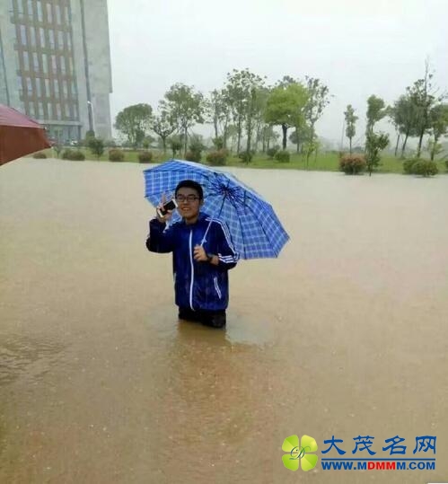 һǿϮ طɫԤ(ͼ)
