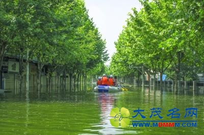 58名大学生坚守5天6夜 送出700名渍水围困居民(图)