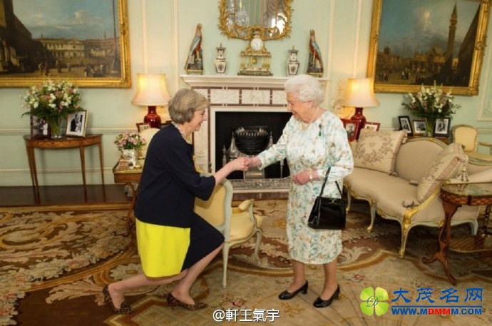 “铁娘子”特蕾莎·梅正式就任英国首相(图)