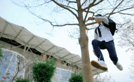 113ӣ3ӣTFBOYS续