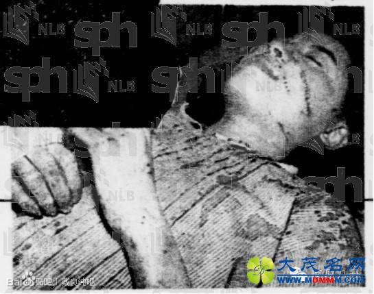 ȴݣϹһ̡