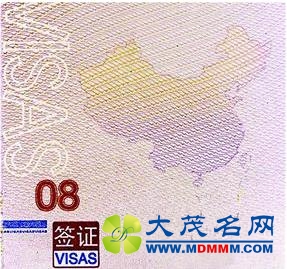 中国护照越南海关遇阻 只因内页印有“九段线”