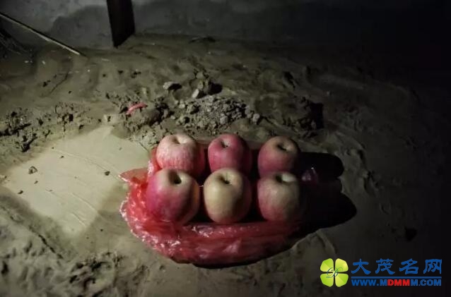 ӱ̨֣һƬǽ ҳˮ