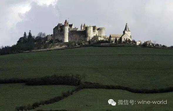霜雹来袭，酒庄受灾，法国葡萄酒大减产,