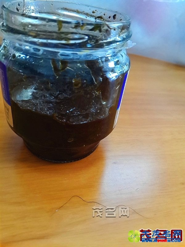1470365033879.jpg