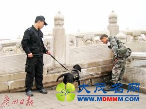 曾执行国庆奥运安保等任务的搜爆犬佛山离世