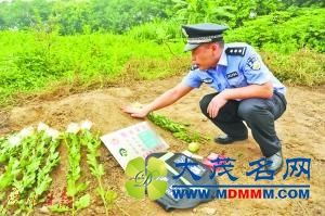 曾执行国庆奥运安保等任务的搜爆犬佛山离世
