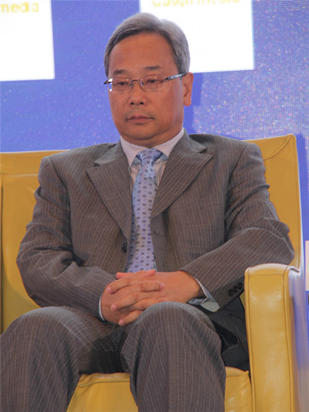国务院发展研究中心产业经济研究部部长 赵昌文
