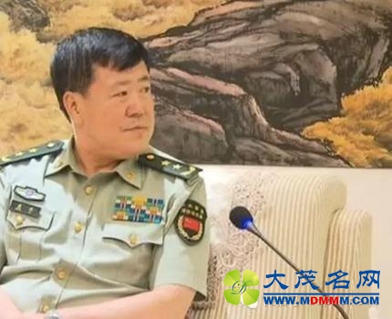 部长政委双升中将 军委国防动员部要担负多大职责？