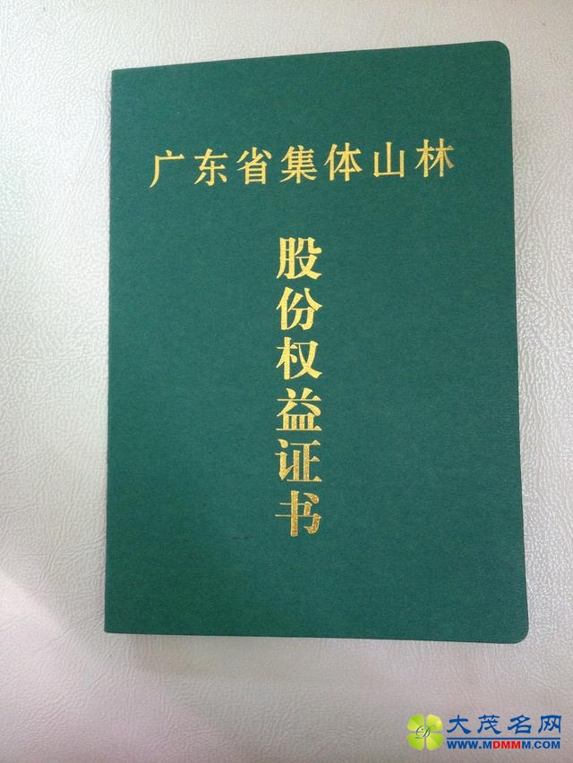 广东潮汕一村委扣留山林股权证 上访村民遭诬陷被打