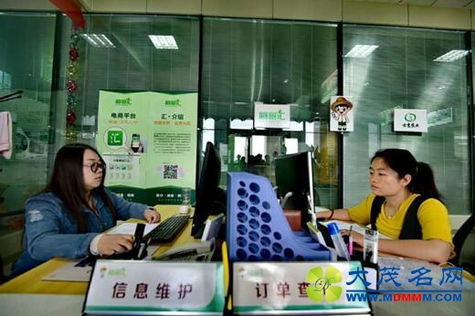 甘肃临泽县玉米制种产业拓宽农民致富路