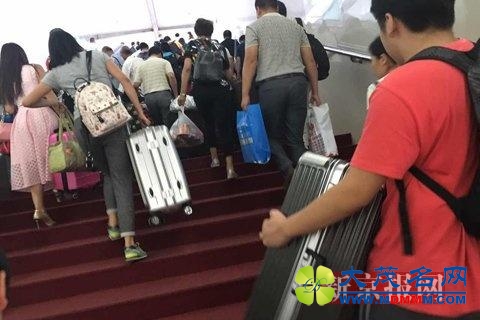 南宁开往北京高铁突发故障 乘客临时换车(图)