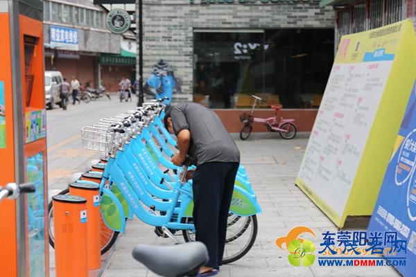 麻涌公共自行车运营32天 累计骑行时间超286万分钟